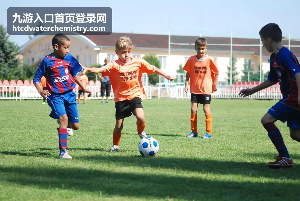 九游入口首页登录网区服与角色核对说明配图
